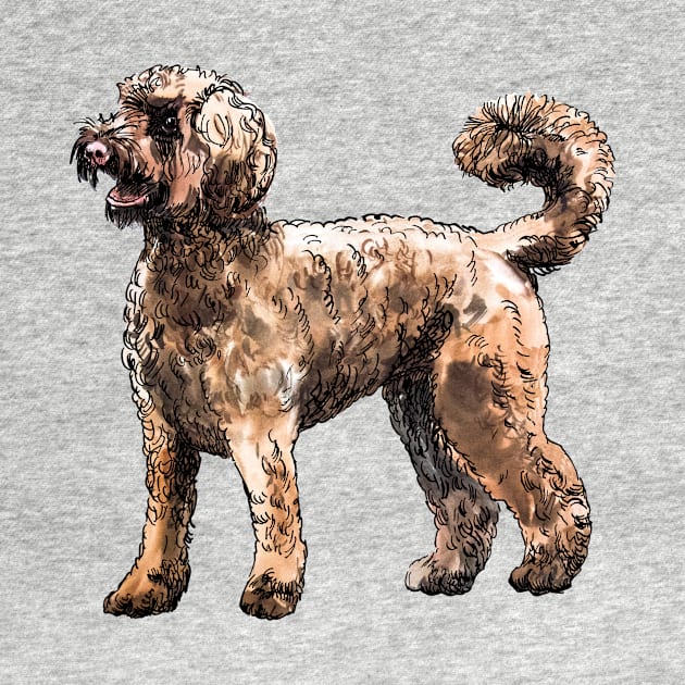 labradoodle by VicaVeresk